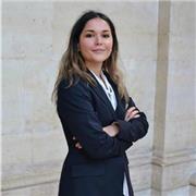 Professeur d'anglais pour tous niveaux